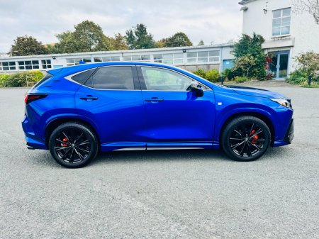 2025 Lexus NX - photo 7