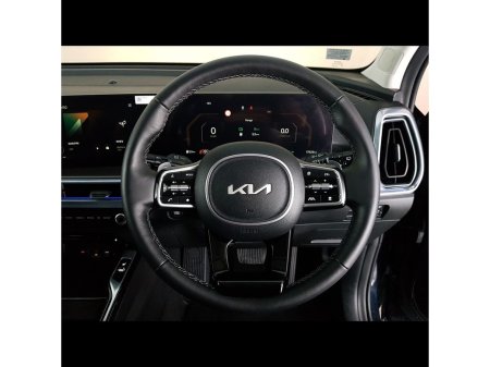 2025 Kia Sorento - photo 24