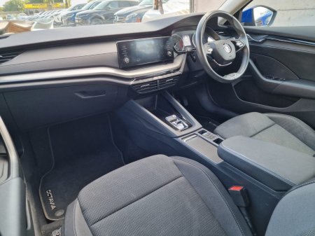 2021 Skoda Octavia - photo 5