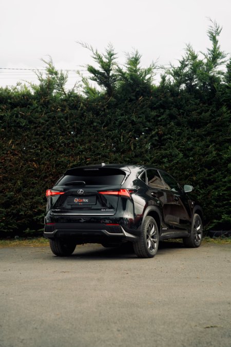 2019 Lexus NX - photo 3