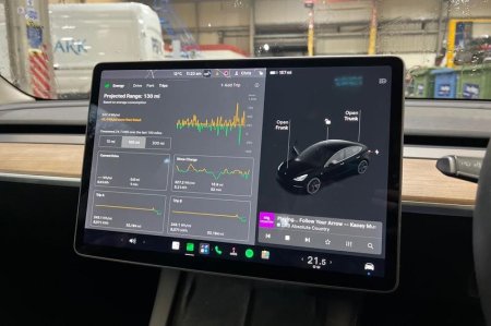 2021 Tesla Model 3 - photo 13