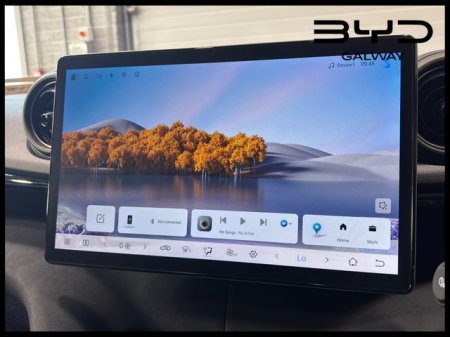 2026 BYD DOLPHIN - photo 11