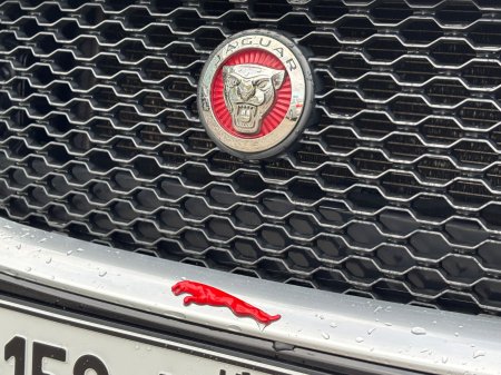 2015 Jaguar XE - photo 6