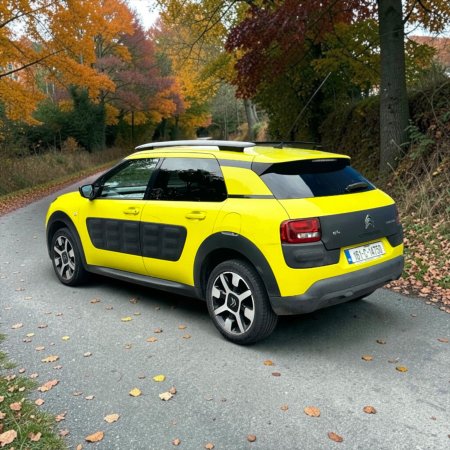2016 Citroen C4 Cactus - photo 13