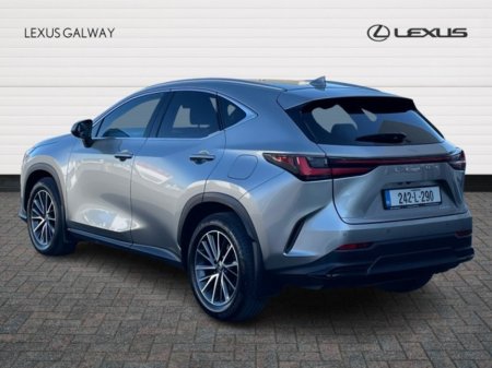 2024 Lexus NX - photo 2