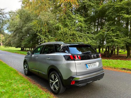 2019 Peugeot 3008 - photo 5