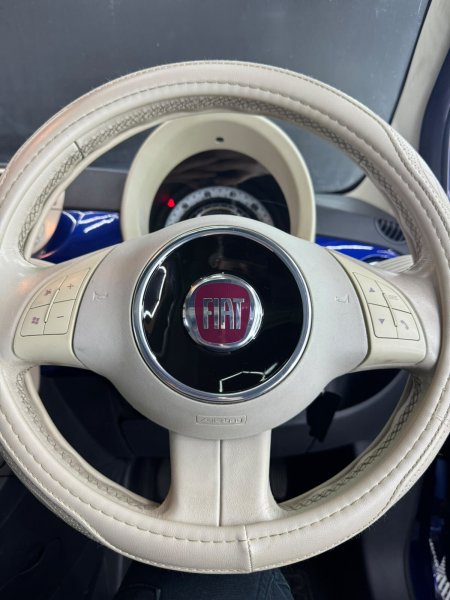 2009 Fiat 500 - photo 19