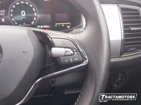 2024 Skoda Kodiaq - photo 27