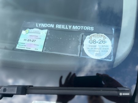 2019 Volkswagen Tiguan - photo 4