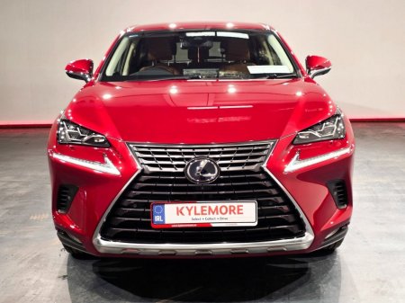 2019 Lexus NX - photo 8