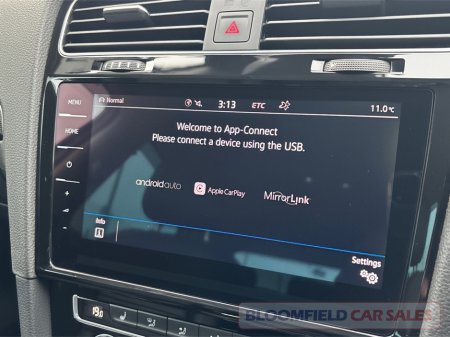 2019 Volkswagen Golf - photo 18