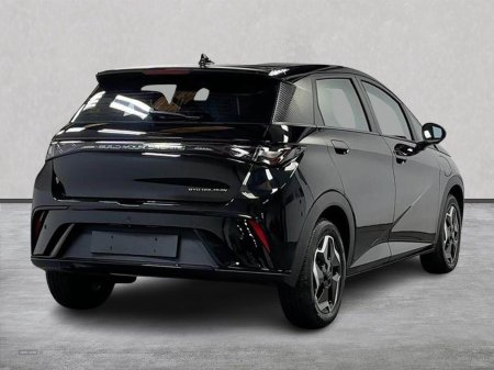 2025 BYD DOLPHIN - photo 18