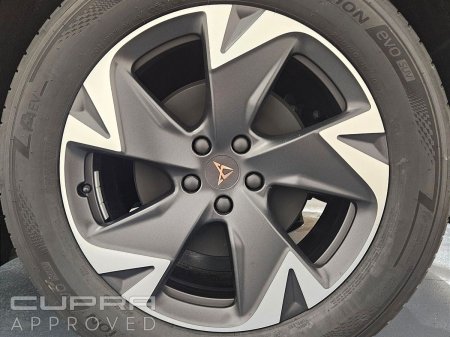 2026 Cupra Tavascan - photo 6