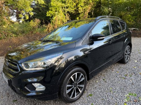 2019 Ford Kuga - photo 4