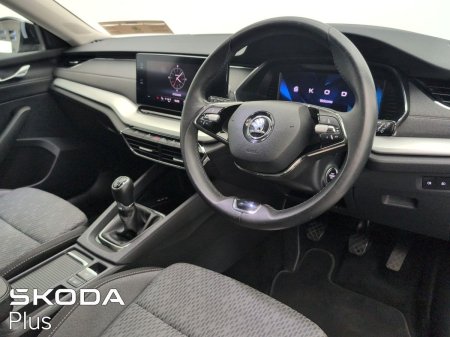 2024 Skoda Octavia - photo 8