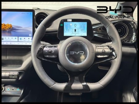 2026 BYD DOLPHIN - photo 18