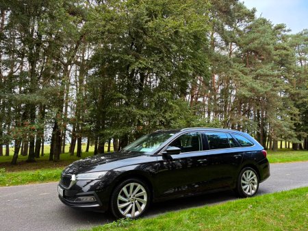 2021 Skoda Octavia - photo 3