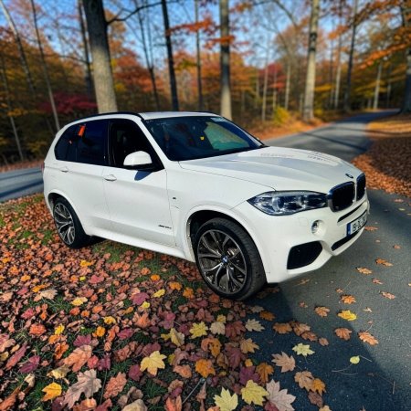 2019 BMW X5 - photo 8