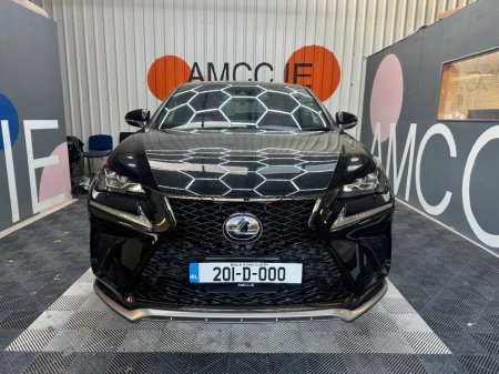 2020 Lexus NX - photo 2