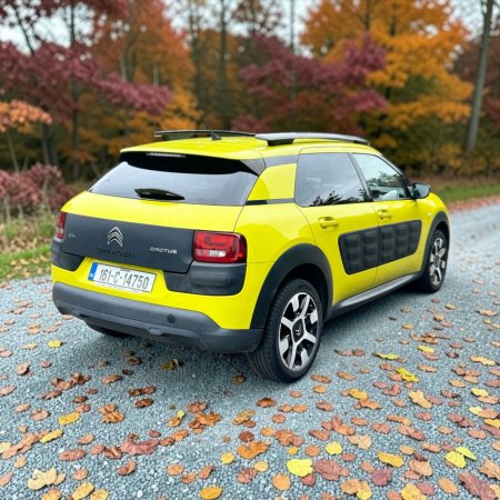 2016 Citroen C4 Cactus - photo 7