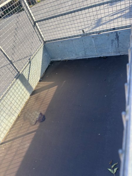 0   - photo 6