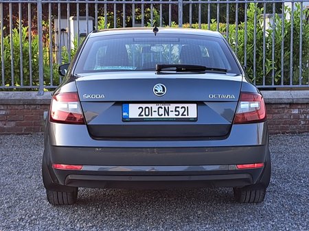 2020 Skoda Octavia - photo 6