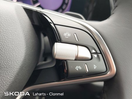2026 Skoda Kodiaq - photo 60