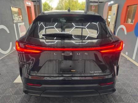 2023 Lexus NX - photo 4