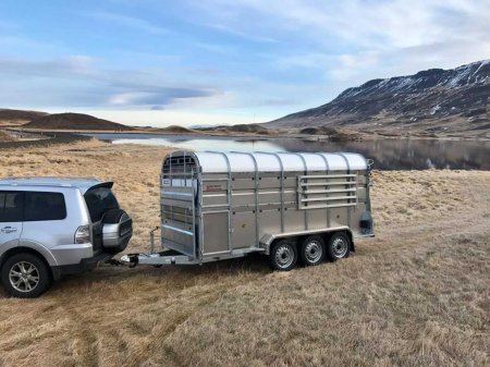 2022 Other New Nugent Cattle Trailers - Finance Opts