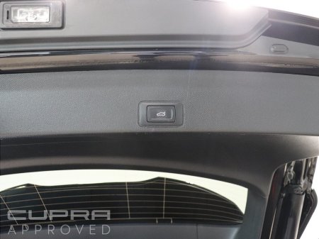2026 Cupra Terramar - photo 26