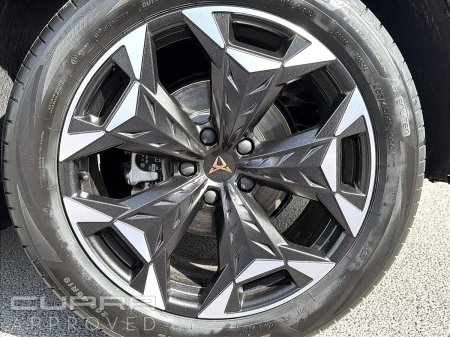 2026 Cupra Terramar - photo 5