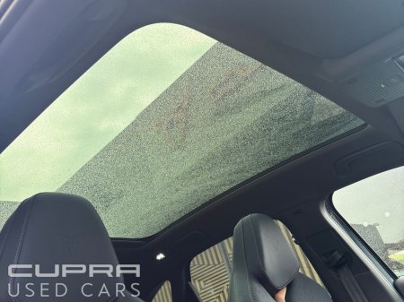 2025 Cupra Tavascan - photo 18