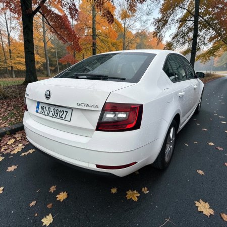 2018 Skoda Octavia - photo 5