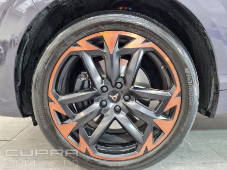 2026 Cupra Terramar - photo 6