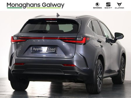 2023 Lexus NX - photo 2