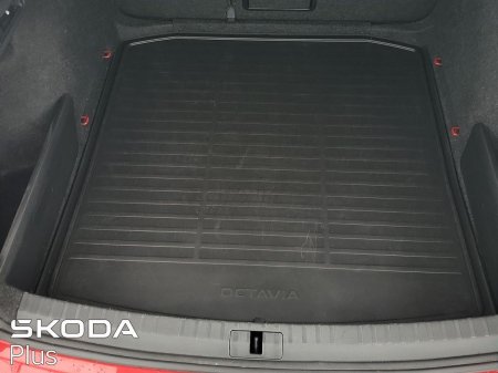 2023 Skoda Octavia - photo 10