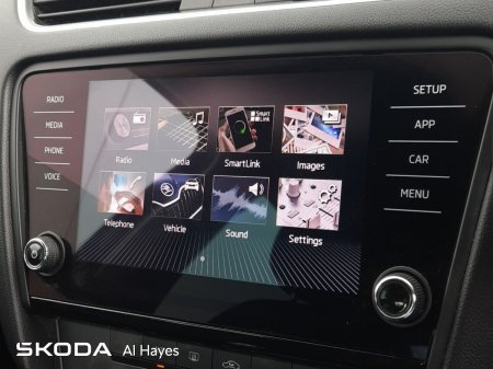 2019 Skoda Octavia - photo 13