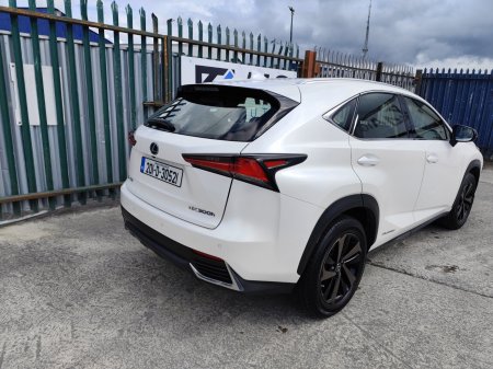 2020 Lexus NX - photo 4