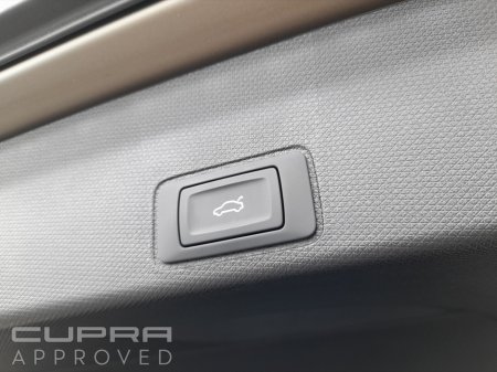 2026 Cupra Terramar - photo 17