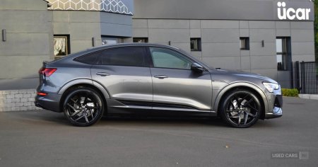 2022 Audi e-tron - photo 4