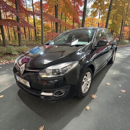 2015 Renault Megane - photo 10