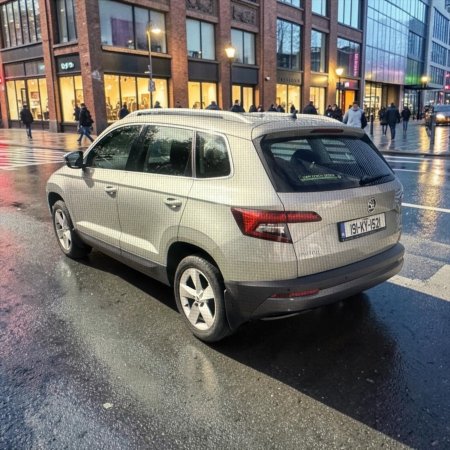 2019 Skoda Karoq - photo 10