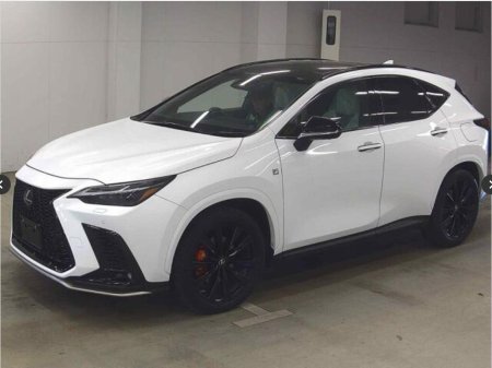 2023 Lexus NX - photo 3
