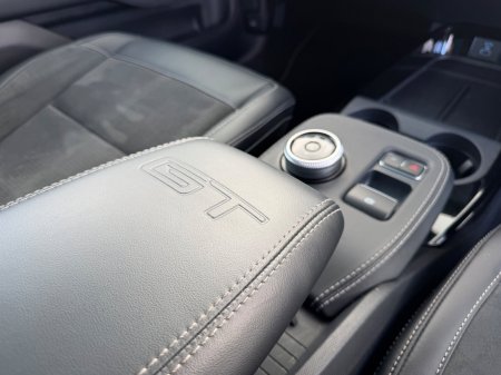 2022 Ford Mustang Mach-E - photo 24