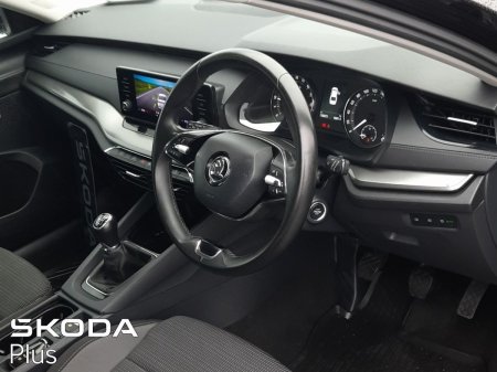 2023 Skoda Octavia - photo 5