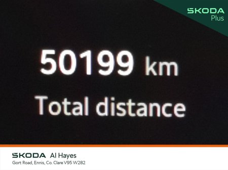 2024 Skoda Octavia - photo 4