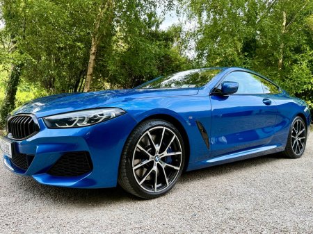 2020 BMW 8-Series - photo 10