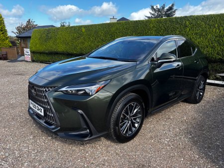 2023 Lexus NX - photo 7