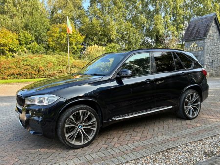 2014 BMW X5 - photo 14