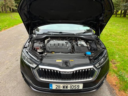 2021 Skoda Octavia - photo 17